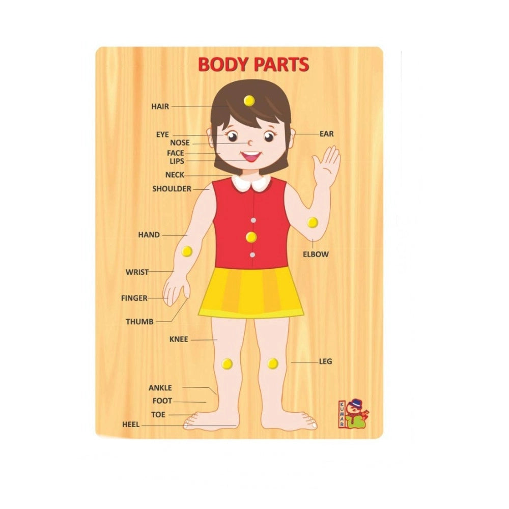 Clasymist Body Parts | Wood | Educational Toys | 3+ Years